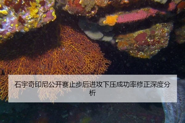 shi-yu-qi-yin-ni-gong-kai-sai-zhi-bu-hou-jin-gong-xia-ya-cheng-gong-lv-xiu-zheng-shen-du-fen-xi-2-933.jpg